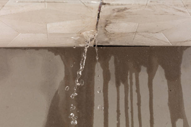 Professional Burst Pipe Cleanup technician working in Fruitvale, CO